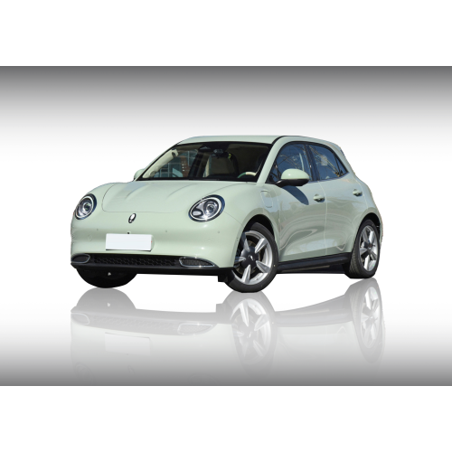 Nuovi veicoli energetici Ora Lightning Cat Electric Car New Auto